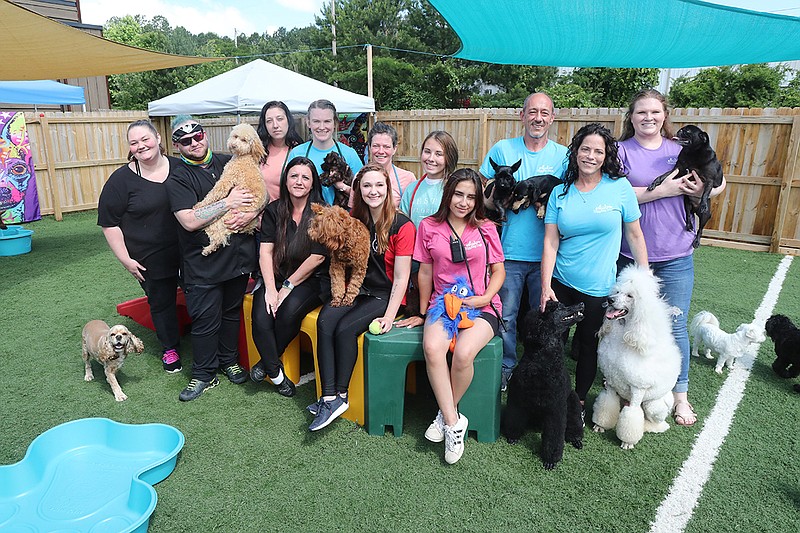 Camp Diggity Dogs employees pictured sitting front from left are Angelique Harrison, Jacklynn Wheeler and Noley Smith. Back row standing from left are Jackie May, Mason Whisenand, Christina True, Elam Fulton, Jamie Dickson, Kylie Peace, Tom Hopkins, Ashley Hopkins and McKayla Wright. - Photo by Richard Rasmussen of The Sentinel-Record