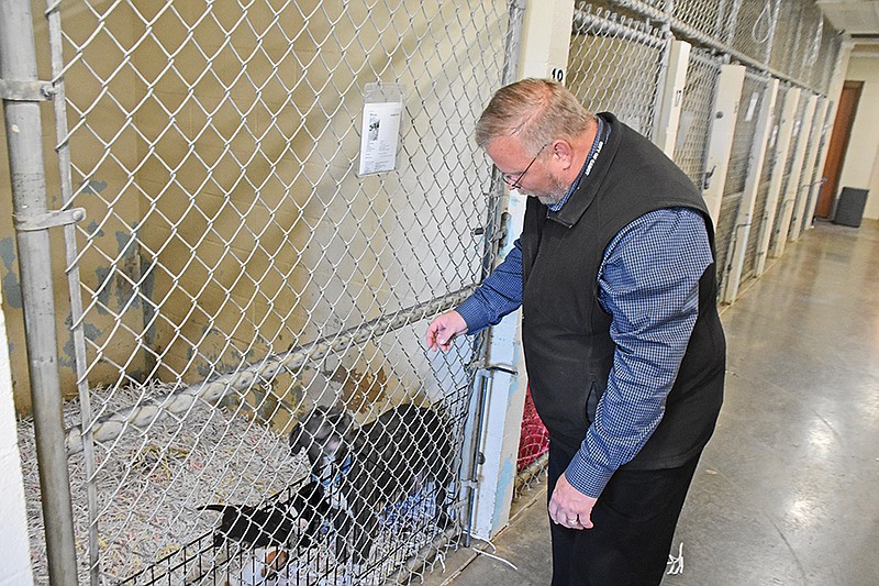 Mike Wheeler, director of community services for the city of Cabot, visits with some of the dogs that are being held at the Cabot Animal Shelter. The shelter is one of 12 sites that are part of a new pilot program that will shift the focus from the enforcement aspect of shelters, including collecting fines and other fees, and move toward assisting pet owners to keep their animals.
