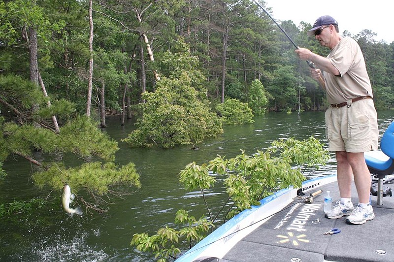 Catching bass from thick bank-side cover requires pinpoint pitching.
(Arkansas Democrat-Gazette/Bryan Hendricks)