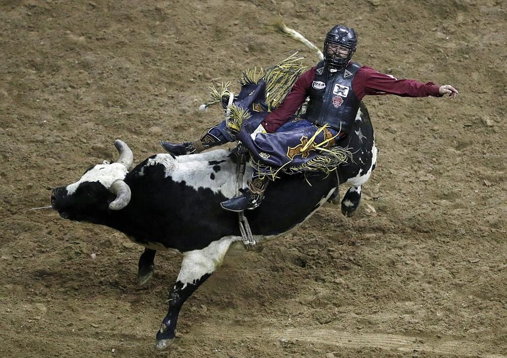 Professional bull riding welcomes fans back into arena | The Arkansas ...