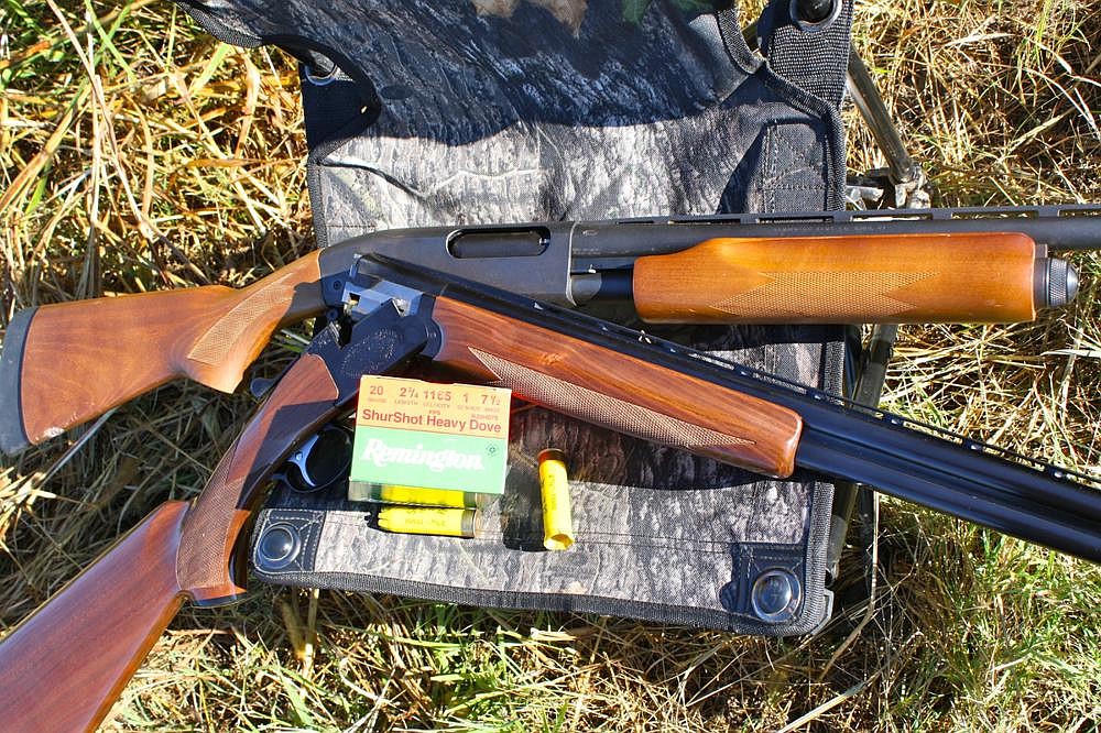 For The Love Of Dove Pandemic Could Renew Hunt s Popularity