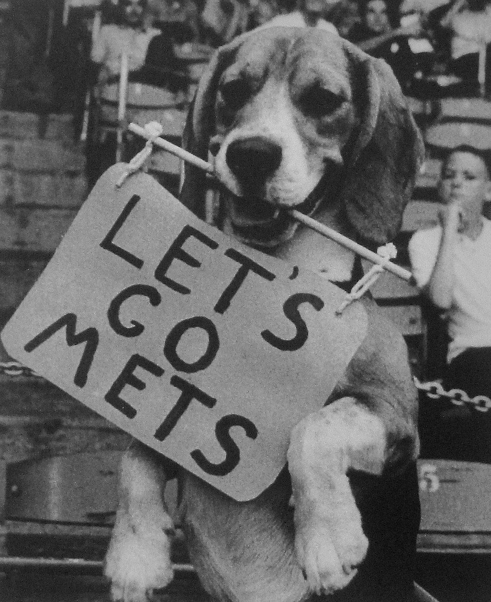 Le chien joue le panneau «Let’s go Mets» dans l’ancien Shea Stadium de New York. (Marcia Schnedler / National Baseball Hall of Fame and Museum expositions)