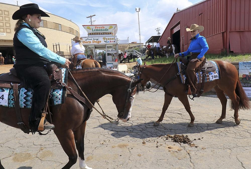 Arkansas State Horse Show