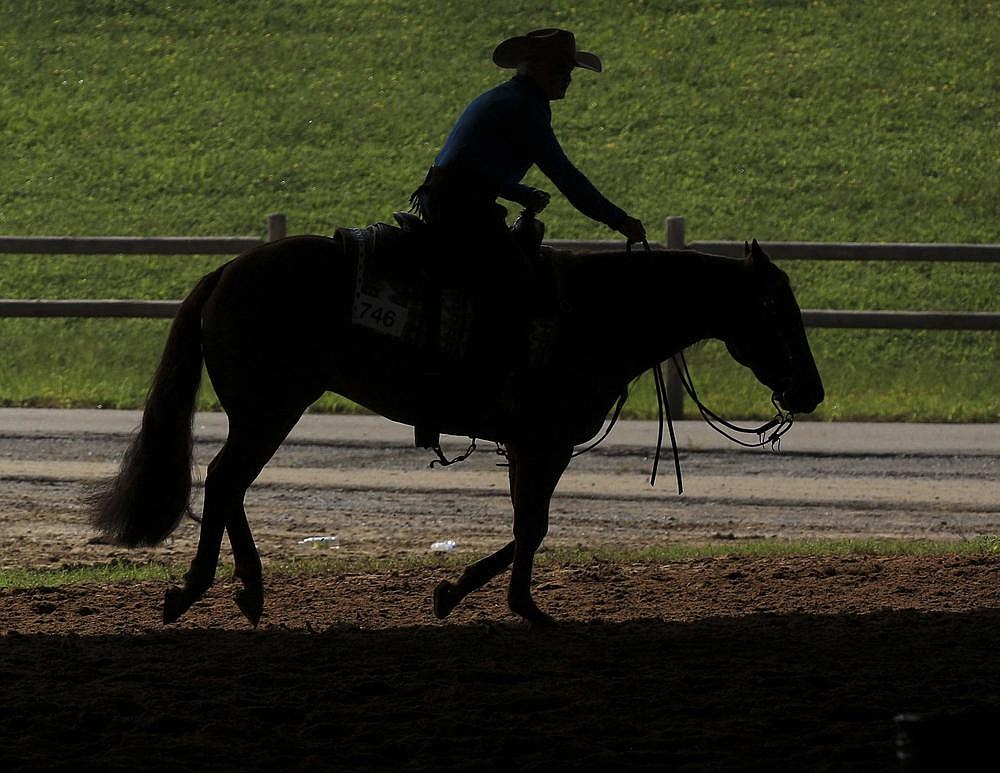 Arkansas State Horse Show