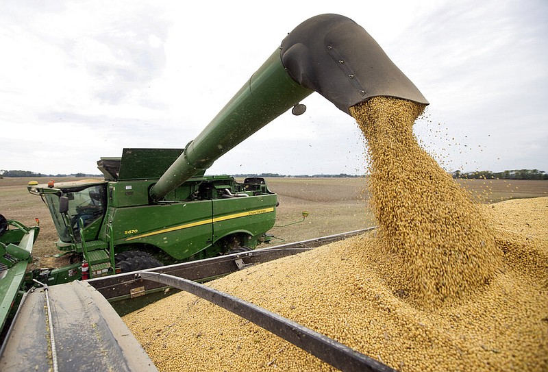 Soybeans are offloaded from a combine during the harvest in Brownsburg, Ind., in this Sept. 21, 2018, file photo.