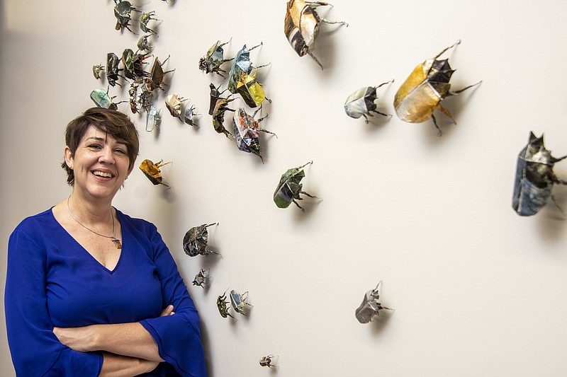 Joli Livaudais, an artist and assistant professor of photography at the University of Arkansas at Little Rock, with just some of the beetles she makes using photographs and origami. Her work is part of the “Paper Routes — Women to Watch” exhibit that opens Oct. 8 in Washington.

(Arkansas Democrat-Gazette/Cary Jenkins)