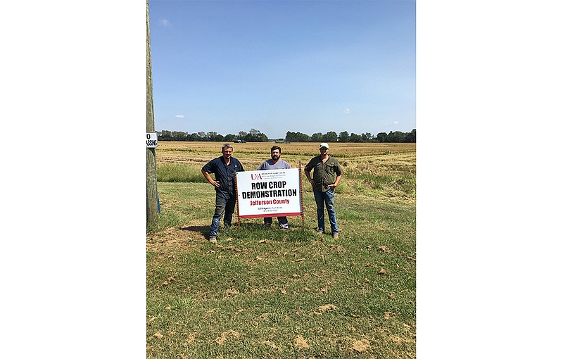 James Towe, Randy Shelby and Kurt Beaty are shown in the conventional rice variety trial. Special to The Commercial