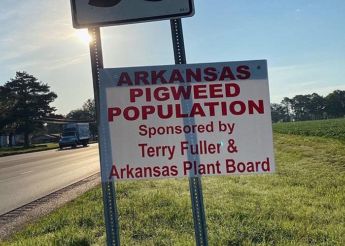 This sign and others blaming Terry Fuller and the state Plant Board for pigweed infestation were posted in at least four places near Fuller’s farm in east Arkansas this summer. The state highway department sent out crews to take them down.
(Special to the Arkansas Democrat-Gazette)