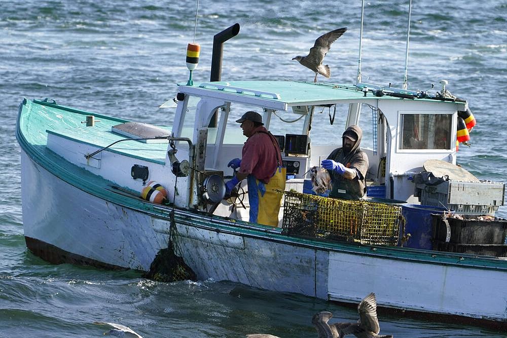 Maine's lobster season surprisingly strong