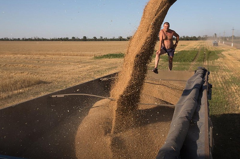 A worker monitors as harvested wheat grain is unloaded into a truck during the summer harvest in July on a farm operated by Progress Agro in Ust-Labinsk, Russia.
(Bloomberg News/Andrey Rudakov)