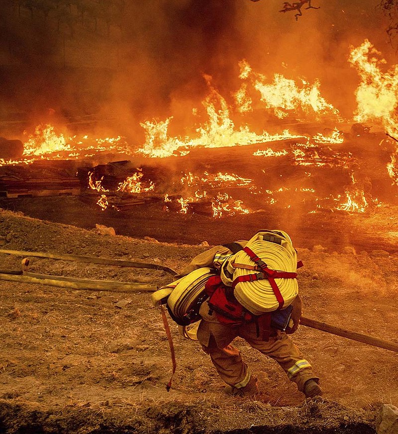 A firefighter carries a hose Thursday while battling the Glass Fire in a Calistoga, Calif., vineyard. More photos at arkansasonline.com/103ca/.
(AP/Noah Berger)