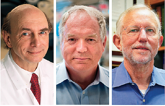 Associated Press
This combination of photos shows, from left, Harvey J. Alter, Charles M. Rice, and Michael Houghton who jointly won the Nobel Prize for medicine on Monday, Oct. 5, 2020, for their discovery of the hepatitis C virus. The major source of liver disease affects millions worldwide. story.lead_photo.caption