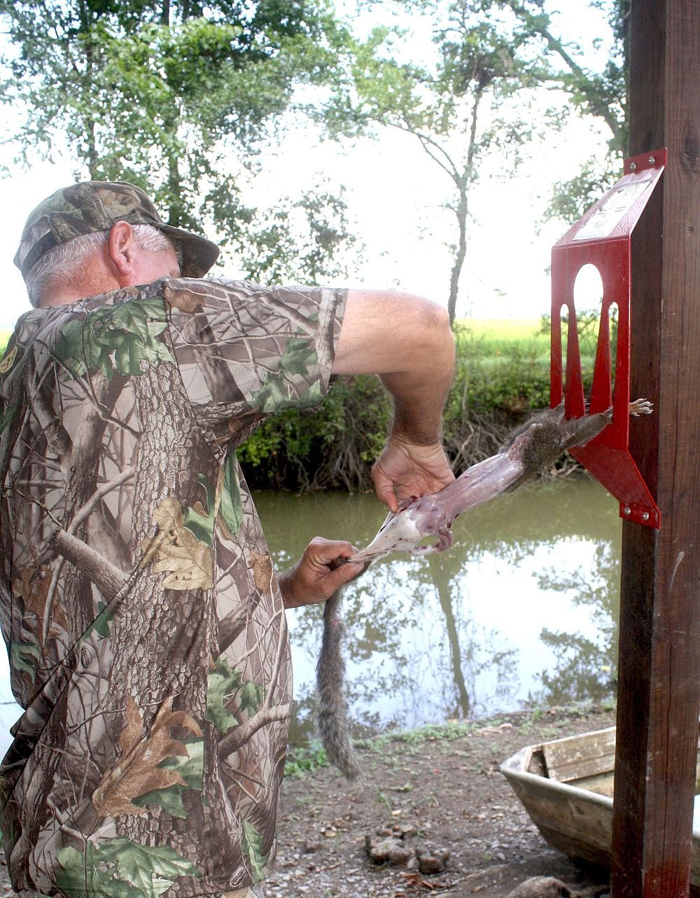 Skinning a squirrel is easy, but a skinning frame makes the job more efficient.
(Arkansas Democrat-Gazette/Bryan Hendricks)