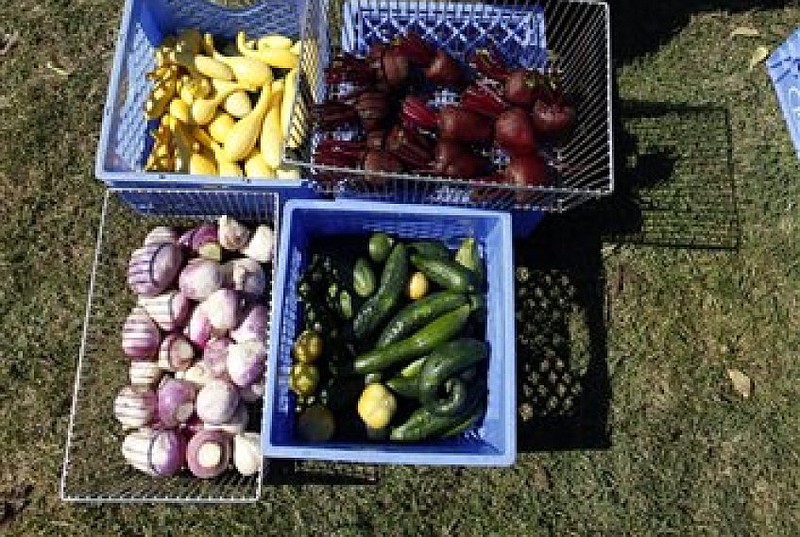 A gardener's fall harvest, including squash, beets and turnips, is shown in this September 2009 file photo.