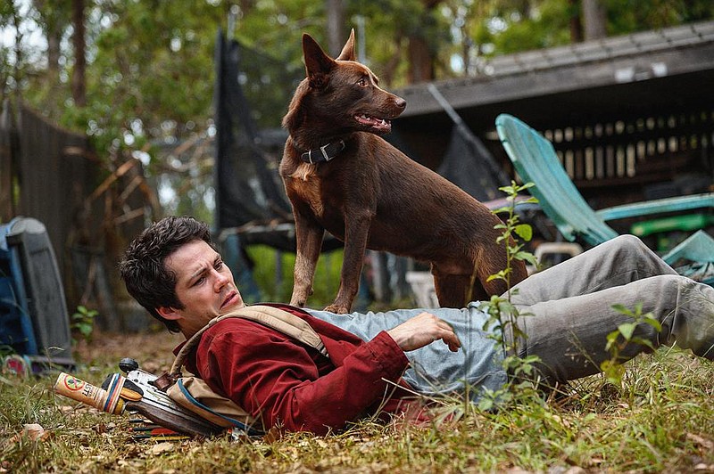 Apocalypse survivor Joel (Dylan O’Brien) is shown with his new friend Boy (Hero, an Australian Kelpie) in “Love and Monsters.”