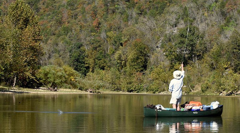 Rusty Pruitt of Bryant catches a fish on a fly rod last Sunday on the Buffalo River. More photos available at arkansasonline.com/1018fishing.
(Arkansas Democrat-Gazette/Bryan Hendricks)