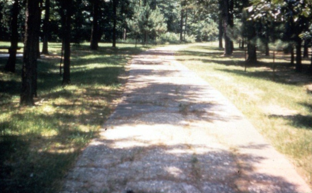 History paved way for Dollarway Road