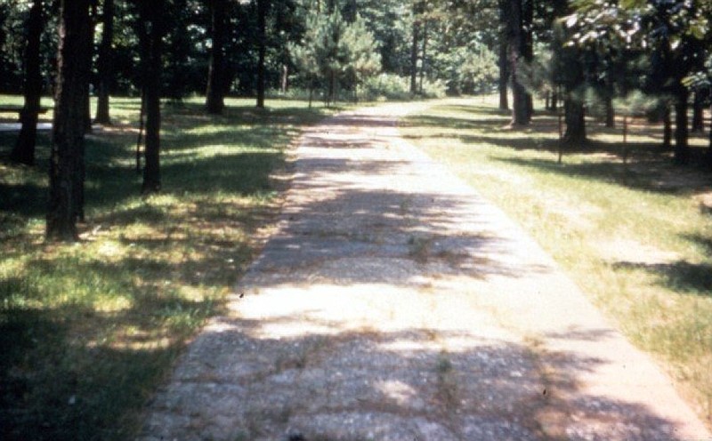 A segment of the concrete Dollarway Road is shown in this undated photo. The road, begun in November 1913 and finished in October 1914, spanned about 23 miles between Pine Bluff and the Pine Bluff-Little Rock wagon road at the Jefferson County line. Tradition holds that the road was called the Dollarway because it cost one dollar per linear foot to construct, although the final cost ended up closer to $1.36 per linear foot.
