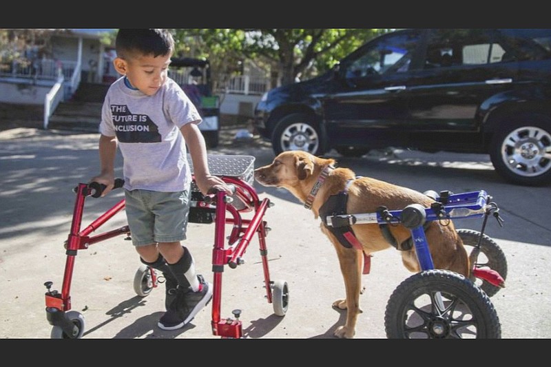 Ace Ruelas-Jimenez (left) with dog Frances are shown in a scene from the episode “A Discount Service Dog” on the new original docu-series “That Animal Rescue Show,” premiering Thursday on CBS All Access.

(CBS All Access via AP)