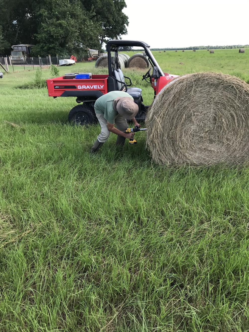 Hay testing looks for nutrient value