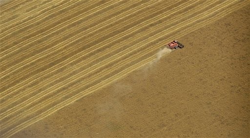 A cpmbine harvests wheat on a Kansas farm in this June 2009 file photo.