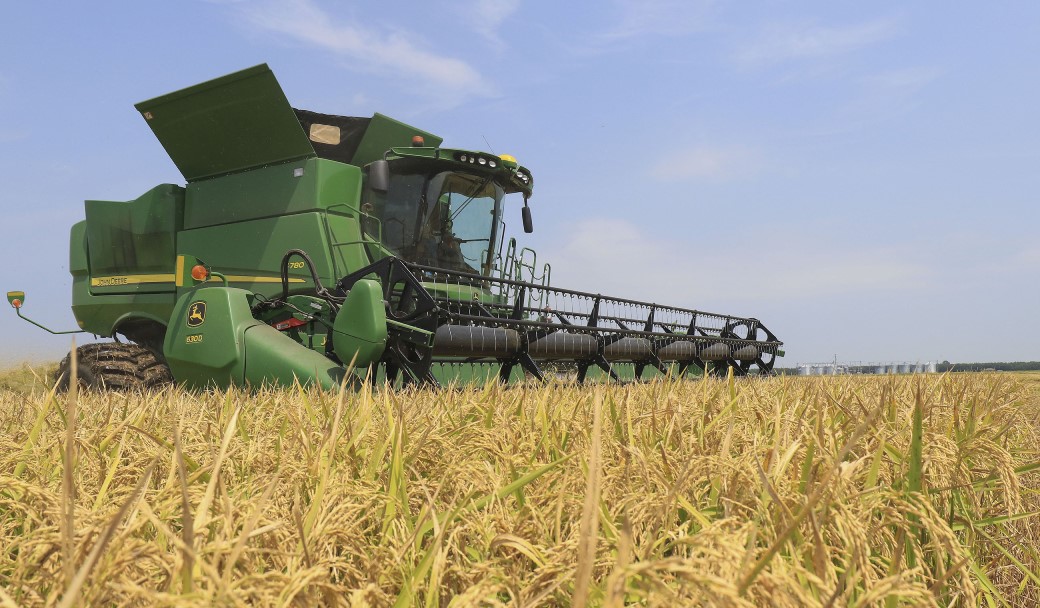 UA researcher studies microwave rice drying