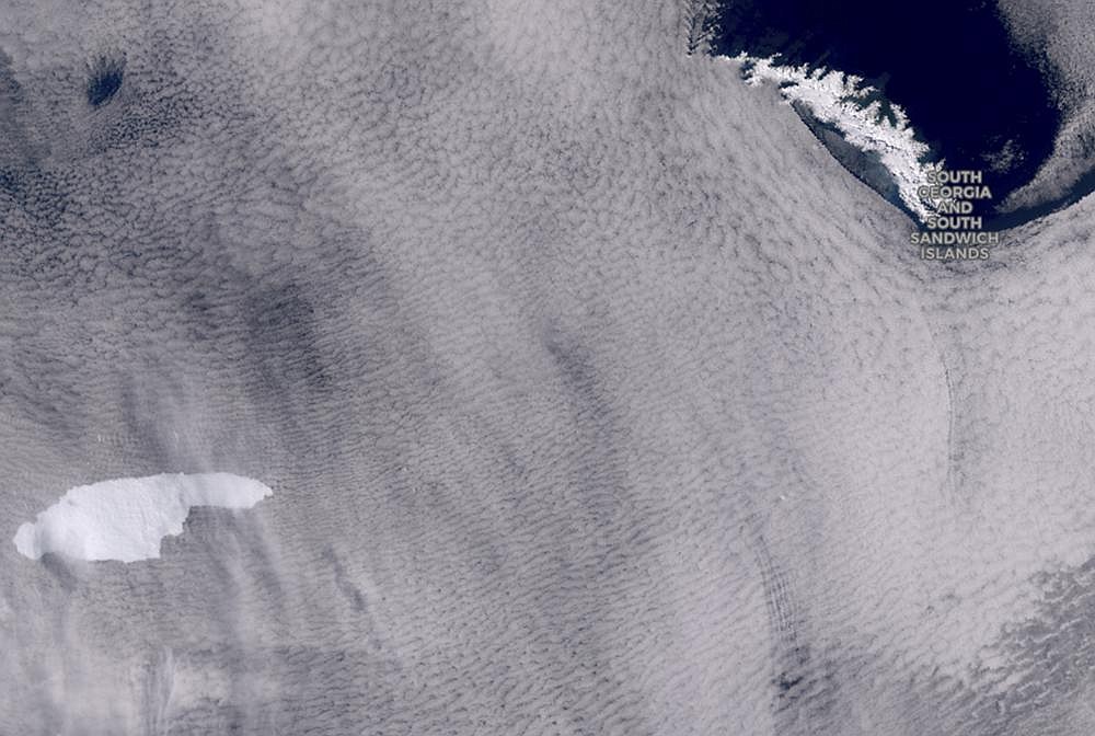 In this graphic provided by the European Space Agency shows an iceberg floating toward the sub-Antarctic island of South Georgia.
(Ap/European Space Agency/Copernicus Sentinel)
