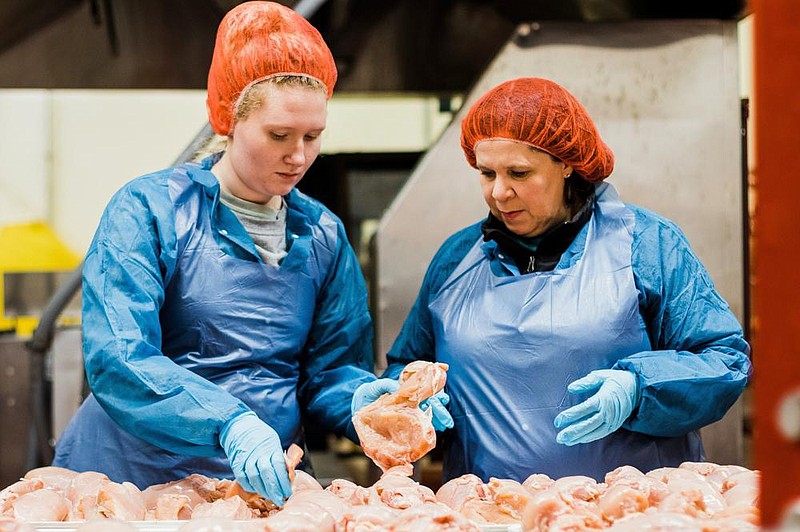 Casey Owens (right), professor of poultry science, and graduate student Ashley Mueller evaluate chicken breasts for quality defects. The photo was taken March 6, before the covid-19 outbreak was reported in Arkansas. 
(Special to The Commercial/University of Arkansas System Division of Agriculture/Sara Landis)