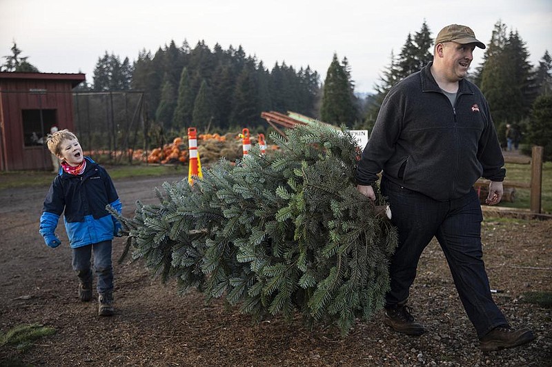 Tim Daley and son Jacob carry off their Christmas tree after cutting it down recently at Lee Farms in Tualatin, Ore.
(AP/Paula Bronstein)