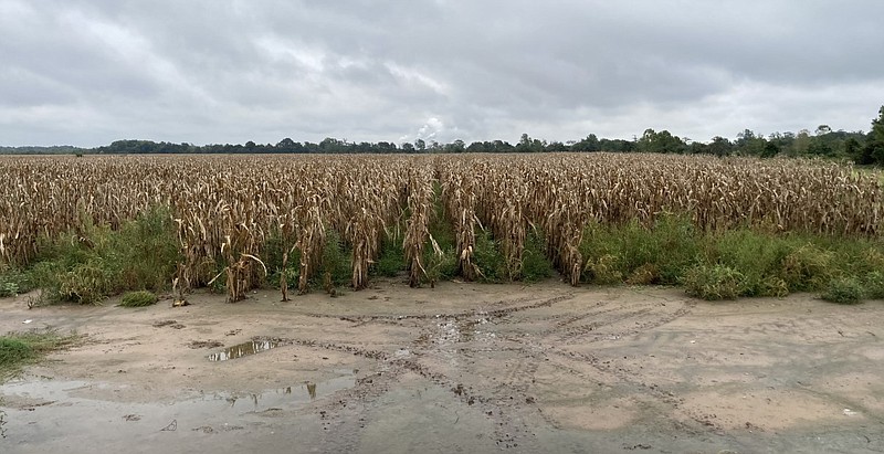 A farm is shown after wet weather in this September 2020 file photo.