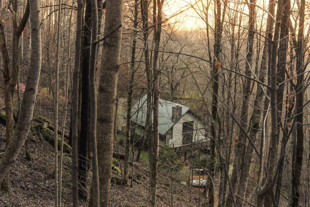 Holy solitude lenten reflections with saints hermits prophets and rebels Read Jesus Friend Of My Soul Online By Joyce Rupp Books