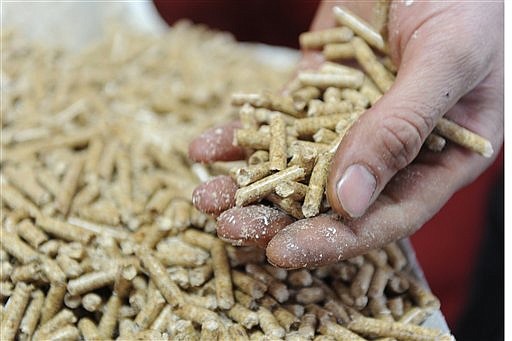 A worker holds a handful of wood pellets in this October 2009 file photo.