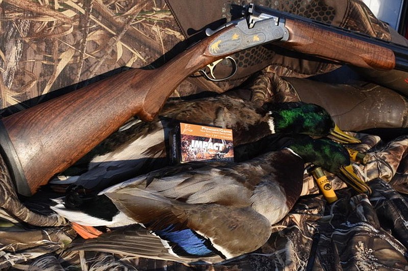 Flooded green timber is an ideal environment for hunting ducks with a 20-gauge and hard-hitting tungsten shot.
(Arkansas Democrat-Gazette/Bryan Hendricks)