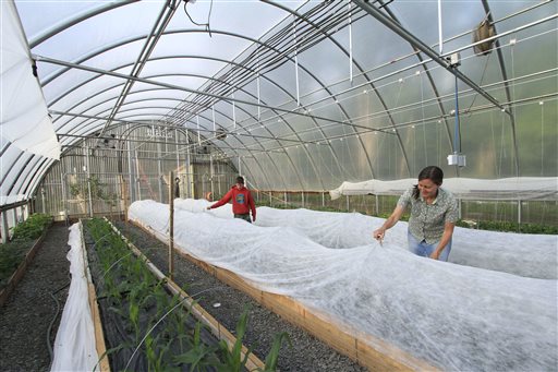 Extension progam helps farmers adopt hoop-house conservation