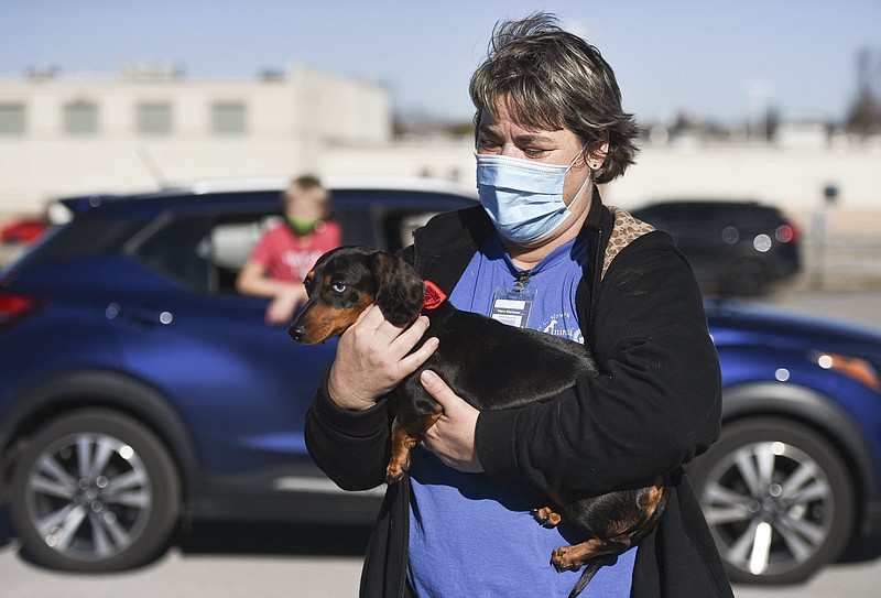 Mary Workman, kennel supervisor, carries a dog to be microchipped,†Saturday, December 5, 2020 at the Washington County Animal Shelter in Fayetteville. The Best Friends Animal Society of Northwest Arkansas hosted a free drive-thru event to microchip and pet ID people's pets. Check out nwaonline.com/201206Daily/ for today's photo gallery. 
(NWA Democrat-Gazette/Charlie Kaijo)