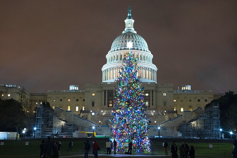 The Capitol Christmas Tree is seen at the U.S. Capitol after negotiators in Washington sealed a deal for covid relief on Sunday, Dec. 20, 2020.