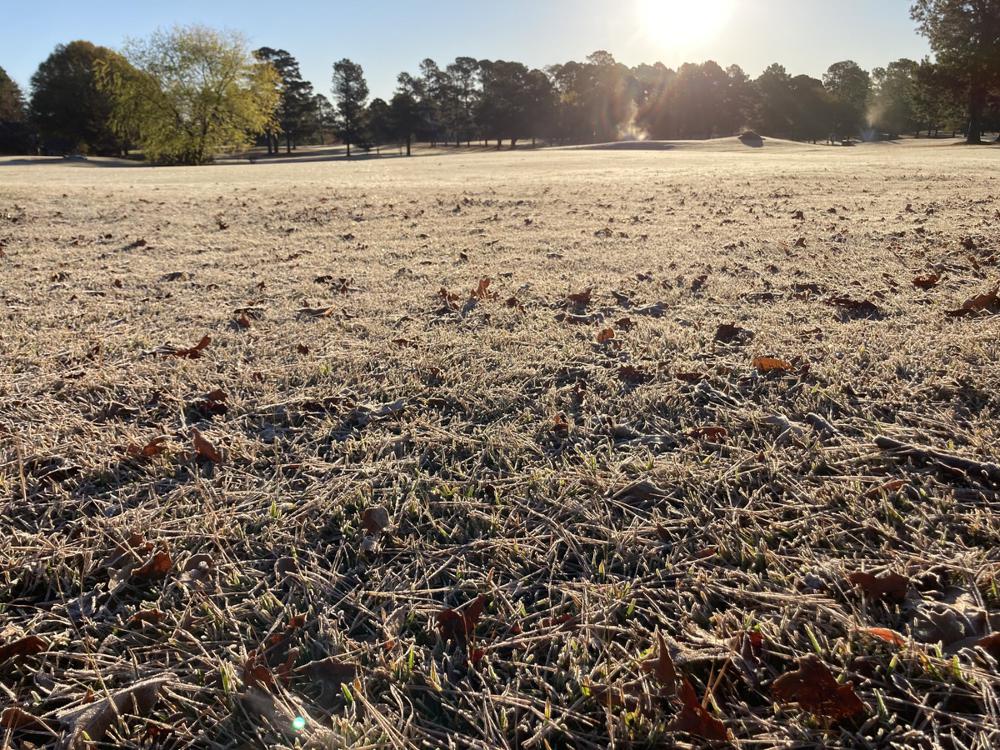 World gives thanks for vital role of soil
