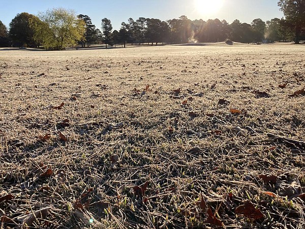 World gives thanks for vital role of soil - Arkansas Online