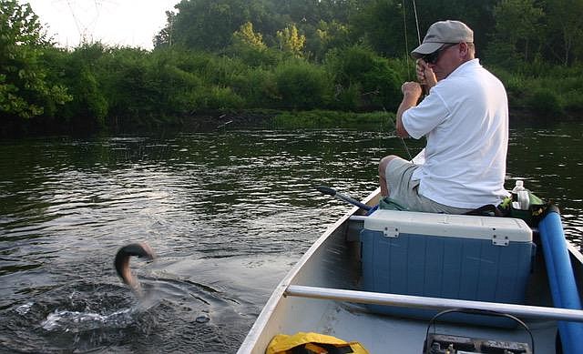 Arkansas has great trout fishing in world-renowned waters like the White and North Fork rivers but also in seasonal waters like this spot on the Ouachita River. (Arkansas Democrat-Gazette/Bryan Hendricks) 
