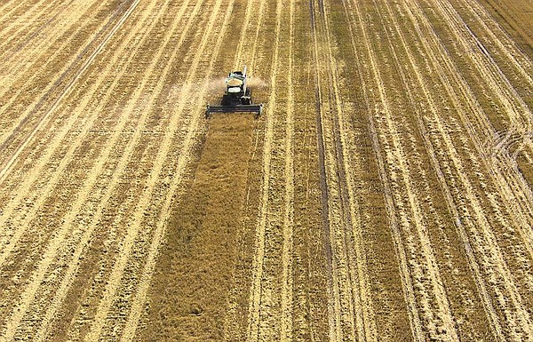 State rice producers in line for grant funds - Vimarsana News