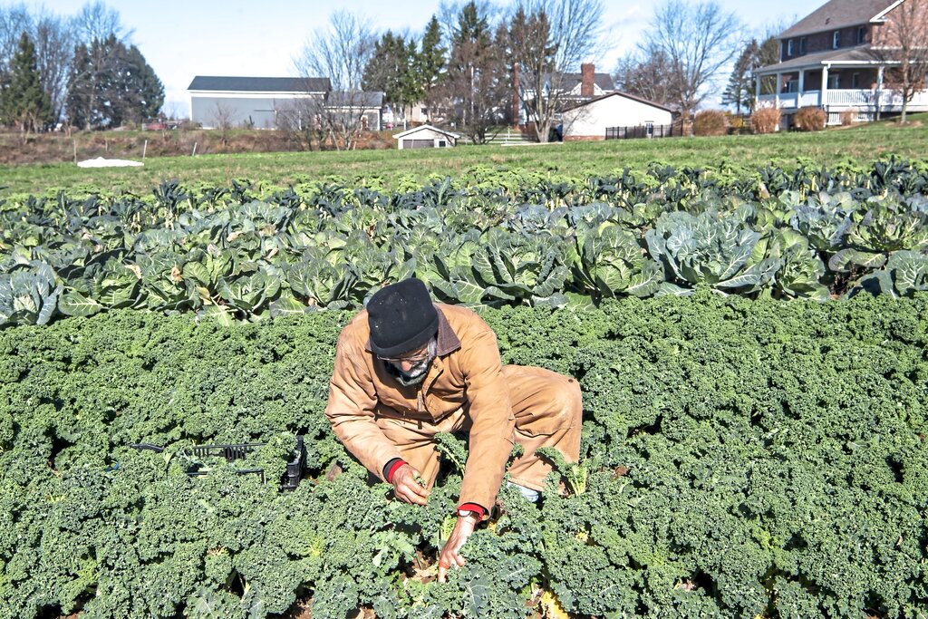 Produce safety focus of farmer workshops
