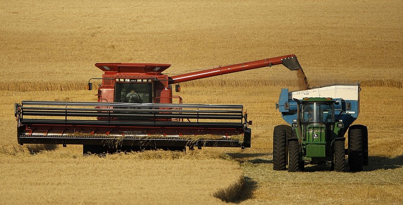 Winter wheat is harvested in a field farmed by Dalton and Carson North near McCracken, Kan., in this June 15, 2018, file photo.