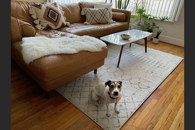 In an undated photo from the homeowner, a widely-sold “Moroccan Trellis” rug is shown in the home of Krishna Marshall. There are a million Moroccan Berber knockoffs but — like the Amazon coat before it — one particular brand and pattern is winning and proliferating in living rooms of America. (Krishna Marshall via The New York Times)