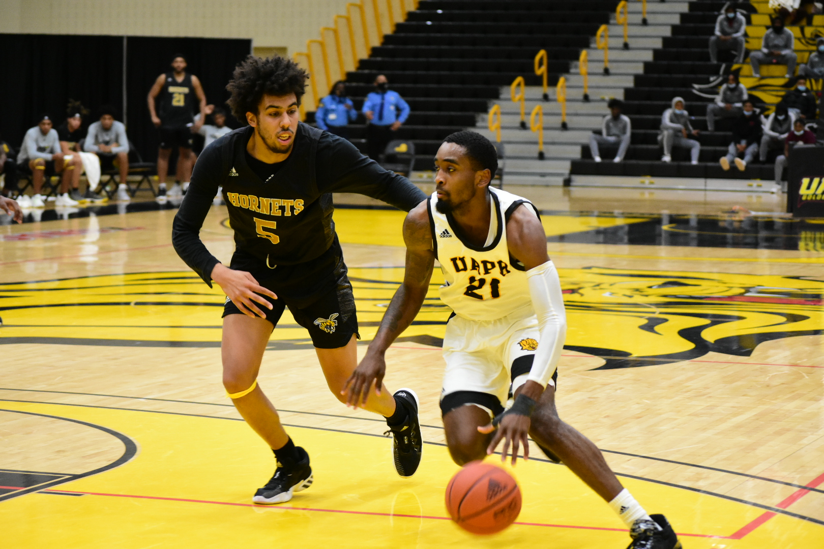 Lions hoping to find shot in homestand