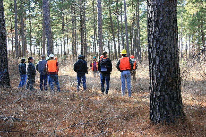 Forestry jobs in Arkansas pay a 134% higher salary than the statewide average, according to research from the Arkansas Forest Resources Center. 
(Special to The Commercial)