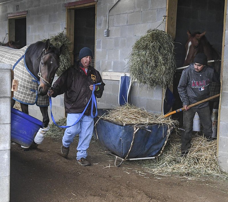 Adolfo Sanchez tends to a horse at Oaklawn Racing Casino Resort in Hot Springs last week. Frigid temperatures, snow and ice forced the postponement of races at Oaklawn for the second consecutive week. Racing is scheduled to resume Feb 25. (The Sentinel-Record/Grace Brown) 