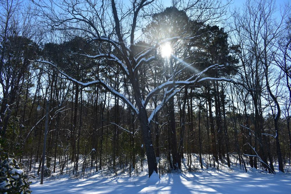 Warm-up expected to melt snow, but flooding is seen as unlikely