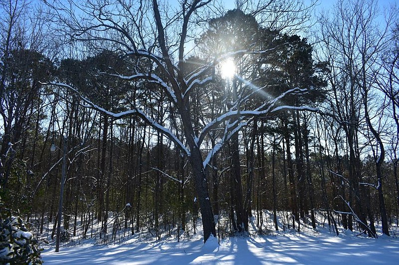 The sun peers through the trees Friday as at least a foot of snow remains on the ground north of Pine Bluff. Temperatures are expected to rise above freezing today for the first timesince Feb. 11, according to the forecast. 
(Pine Bluff Commercial/I.C. Murrell)
