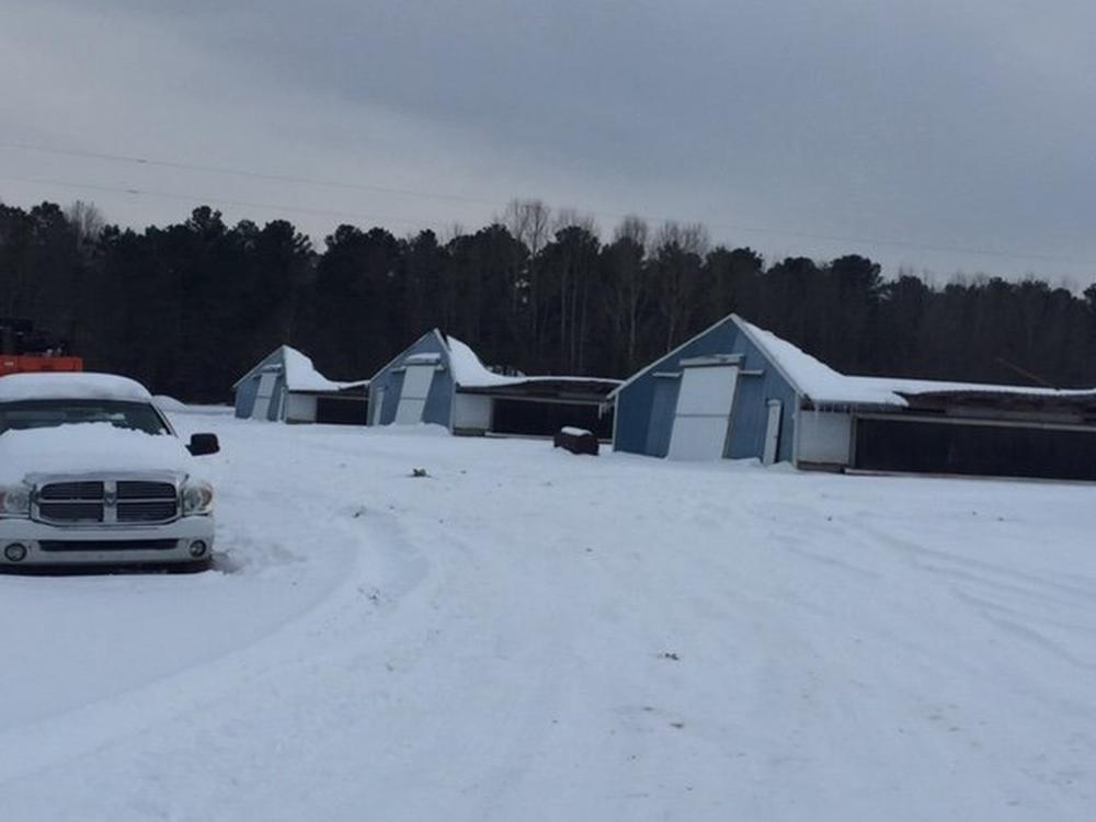 Weather takes toll on poultry, cattle farms