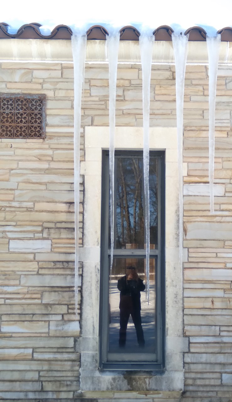 Frozen pipes likely culprit behind flood at Barton Library - Vimarsana News
